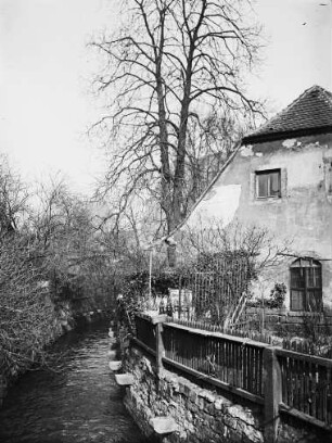Dresden? Haus und Garten an einem Wassergraben