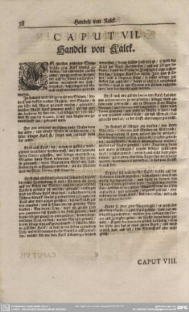 Caput VII. Handelt von Kalck.