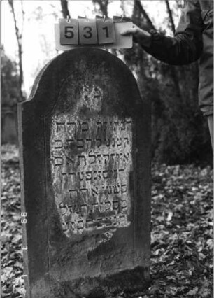 Grabstein 531 (Index: 99752976) Material: Sandstein Zustand: abgeblättert mit geringem Textverlust Maße HxBxT: 119x60x13 cm Beschreibung: Stele, eingezogener Rundbogenabschluß Symbolik: Ranken: Grabstein 531
