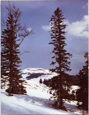 Am Feldberg