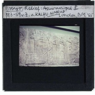 Assyrisches Relief, König Assurnasirpal (883-859 v. Ch.)