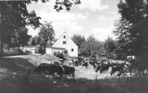 Reichenbach/O.L.-Dittmannsdorf. Ehem. Wassermühle