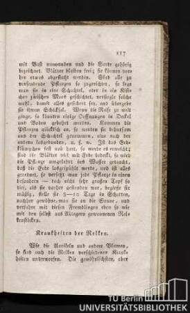 Krankheiten der Nelken.