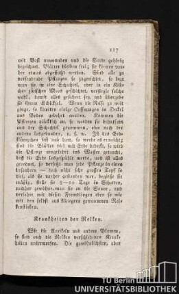 Krankheiten der Nelken.
