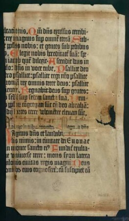 Psalterium latinum (Fragment)