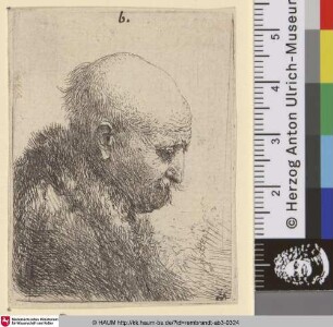 [Kahlköpfiger Mann im Profil nach rechts: Kleines Brustbild; Bald Headed Man in Profile Right: Small Bust, The Artist's Father (?); Tête d'homme chauve]