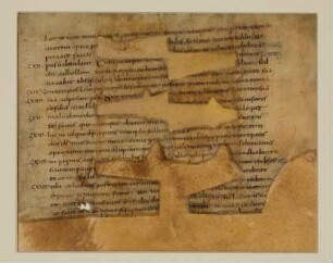 Biblia sacra : Hdschr. 171