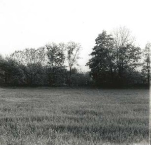 Gönnsdorf. Blick von der Schönfelder Straße zum Gutspark