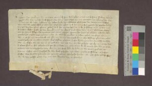Die Wilhelmiten zu Freiburg reversieren über die von Elisabeth Zehntner gestiftete Jahrzeit.
