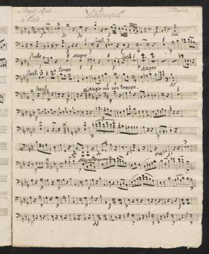Violoncell