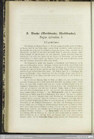 2. Buche (Rothbuche, Waldbuche), Fagus sylvatica, L.