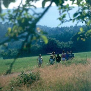 Spessart. Wandergruppe unterwegs auf dem Eselsweg