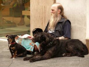 Bettler mit zwei kleinen Hunden in einer Geschäftsstraße in Cordoba, Andalusien, Spanien
