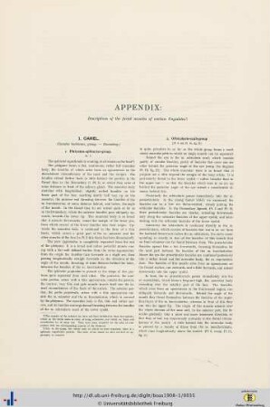 Appendix.