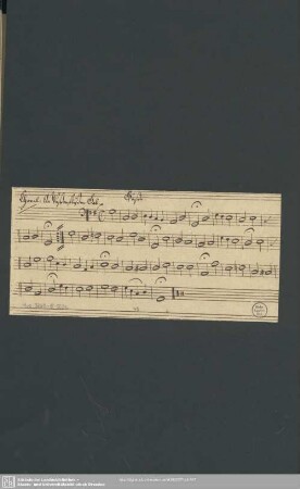 [Nr.10:] Basso