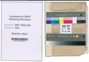Entnazifizierung Hans Brandis , geb. 26.11.1900 (Rechtsanwalt)
