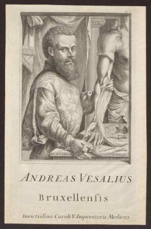 Vesalius, Andreas