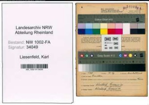 Entnazifizierung Karl Liesenfeld, geb. 28.09.1899 (Kaufmann)