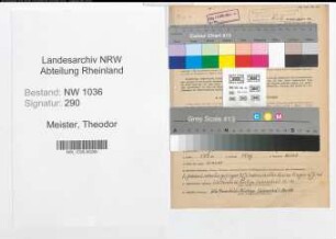 Entnazifizierung Theodor Meister , geb. 07.07.1905 (Bergmann)