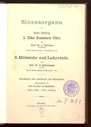 Das äußere Ohr