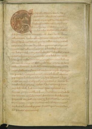 Zierinitiale G mit Rankenwerk