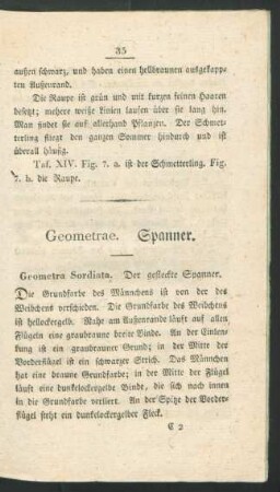 Geometrae. Spanner.