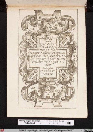 Quid cum illis agas, qui neque ius, neque bonum atque aequum sciunt, melius, peius, prosit obsit, nilhil vident, nisi quod lubet.