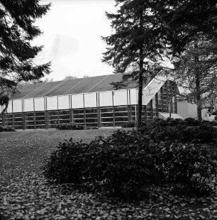 Hallenbad [später Travebad-Schwimmhalle]: Konrad-Adenauer-Ring: Außenanlagen mit Grünfläche, Büschen und Bäumen