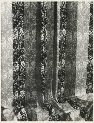Flamingo-Baumwolle "Fotexurprint" von Tibor Reich