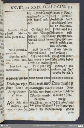 Dialogus vigesimus nonus de Peregrinatione & Itinere