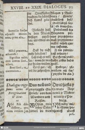 Dialogus vigesimus nonus de Peregrinatione & Itinere