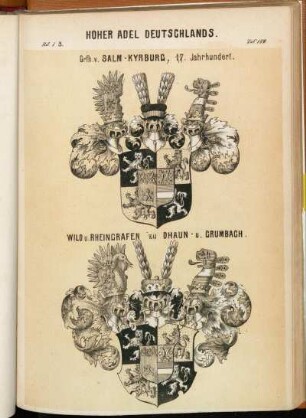Taf. 189. Grfn. v. Salm-Kyrburg, 17. Jahrhundert. - Wild u. Rheingrafen zu Dhaun u. Grumbach.