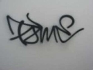 TamE