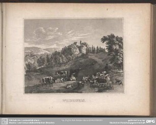 WILDENFELS
