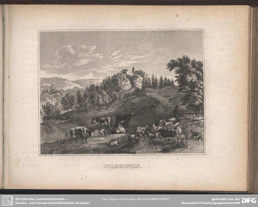 WILDENFELS