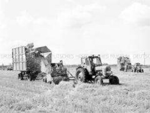 Ernte in der LPG "Georgi Dimitroff" Neuholland (Kr. Oranienburg)