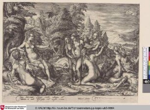 [Diana entdeckt die Schwangerschaft der Kallisto; Diana Discovering Callisto's Pregnancy]