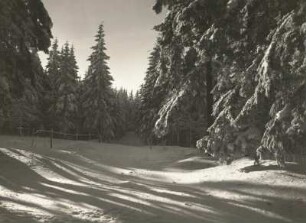 Waldschneise im Winterwald beim Raupennest in Altenberg