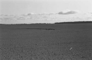Landschaft bei Heiligendamm