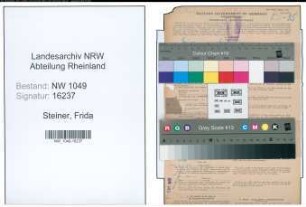 Entnazifizierung Frida Steiner , geb. 03.05.1891 (Buchhalterin)
