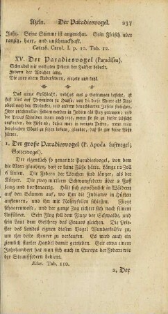 XV. Der Paradiesvogel