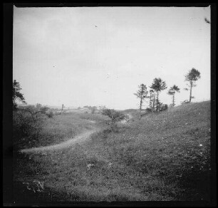 Bouchavesnes (=Bouchavesnes-Bergen, Dep. Somme, Frankreich): Landschaft mit schmalem Pfad ("Kiefernhügel bei Bouchavesnes")