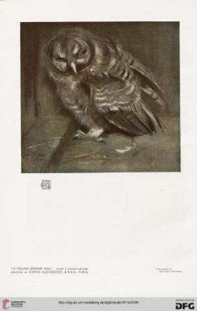 Nr. 220 (July 1911)