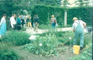 Ingolstadt. Medizinhistorisches Museum. Heilkräutergarten