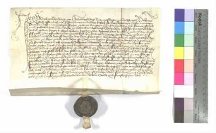 Ulrich von Hohenrechberg, Ritter, Pfleger zu Hochstetten, belehnt Katharina Liebermännin, Witwe des Lorenz Liebermann, Bürgerin zu Gmünd, mit dem von Jörg Schindler bebauten Hof zu Schönhardt, den sie von ihrem Vater Jakob Claus, Bürger zu Gmünd, erkauft hat.