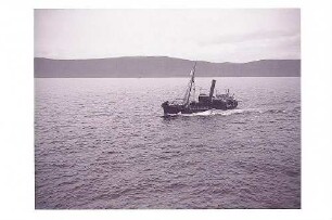 Isafjord (?) (Norwegen). Walfischfangschiff