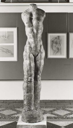 Weiblicher Torso