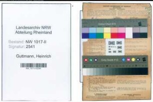 Entnazifizierung Heinrich Guttmann , geb. 06.09.1900 (Anstreicher)