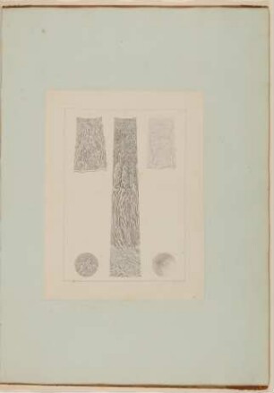 Vergrößerte Darstellung der Blutgefäße des Augapfels [Vorzeichnung zu Samuel Thomas Soemmerring, Abbildungen des menschlichen Auges, Frankfurt am Main 1801, Tafel VI ("schattierte" Darstellung), Fig. II, I, VII, III]