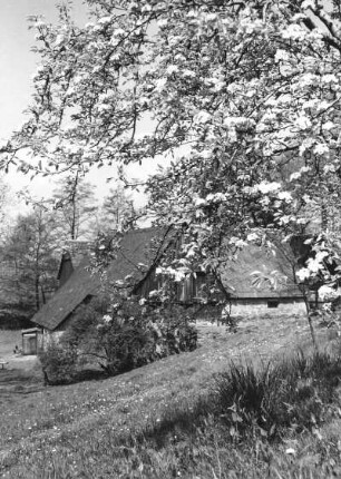 Schönfeld. Bockmühle (ehemalige wassermühle) (1786/1800)